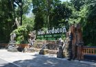 Alas Kedaton, Wisata Alam yang Terlupakan
