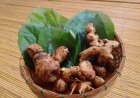 Usadha Kacacar: Traditional Chickenpox Treatment Guidelines in Balinese Culture