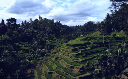 Subak, a UNESCO Cultural Heritage: Embodiment of Harmony Among Nature, Farmers, and the Divine