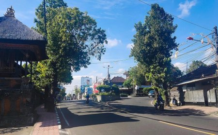 Batubulan Village, Exploring the Village with the Enchanting Barong and Kecak Arts