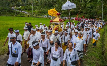 Ida Bhatara Meyab, The Tradition of Asking for Grace Agricultural Fertility in Tiying Tali Village