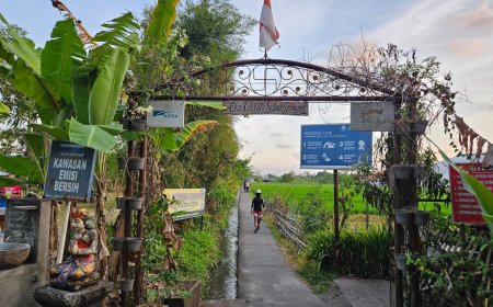 Ekowisata Subak Sembung : Berjalan di Tengah Hamparan Sawah Nan Luas