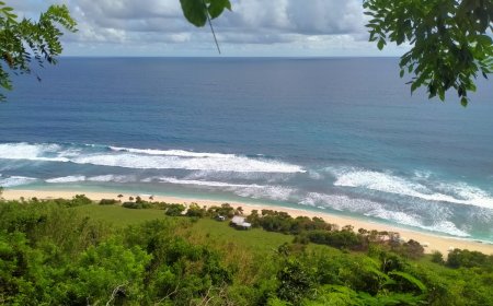 Menyelami Keindahan Pantai Nunggalan: Pesona Pantai Tersembunyi di Pulau Dewata