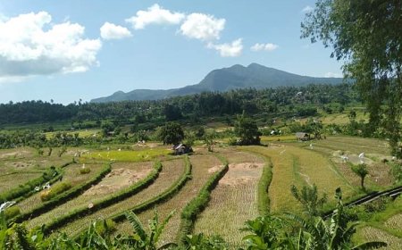 Desa Adat Ababi: Memahami Akar Budaya Bali dan Keunikan Tirta Gangga