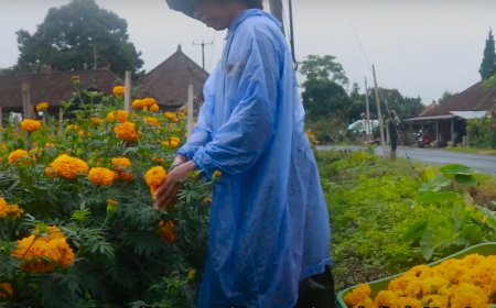 Unveiling the Hidden Charms in Belok Sidan Village