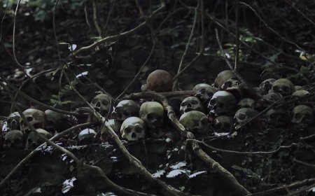 Exploring the Unique Sacredness of Burial Traditions in the Trunyan Village