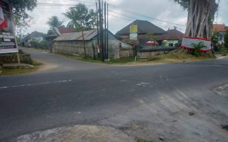 Traditions and Uniqueness of the Pakraman Tamanbali Traditional Village