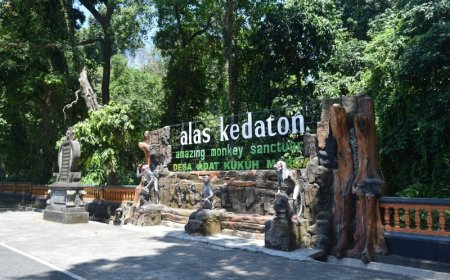 Alas Kedaton, Wisata Alam yang Terlupakan