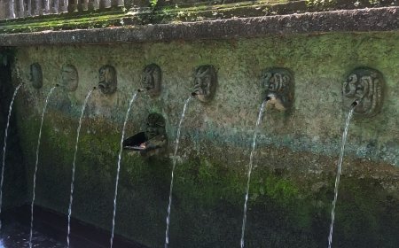 Beji Waringin Pitu: Sacred Bath Symbol of the Purity of the Seven Limbs