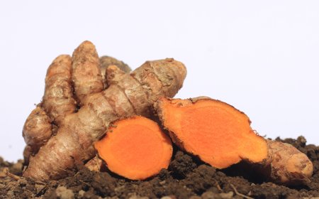 The Amazing Benefits of Turmeric: From Spice to Traditional Herbal Medicine