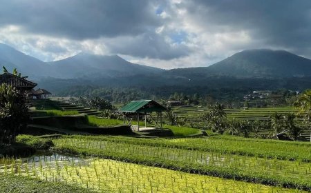 Jatiluwih: Famous Village, designated by UNESCO as a World Cultural Heritage