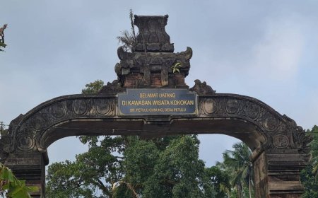 Petulu Village: Home of the Storks