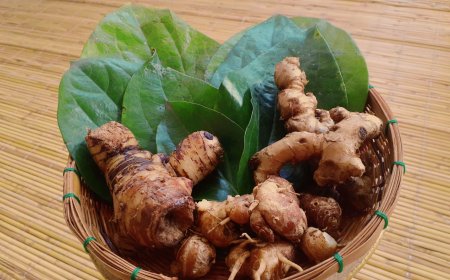 Usadha Kacacar: Traditional Chickenpox Treatment Guidelines in Balinese Culture
