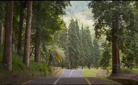 Kebun Raya Eka Karya: Sumber Kesejukan dari Bedugul yang Memanjakan Mata