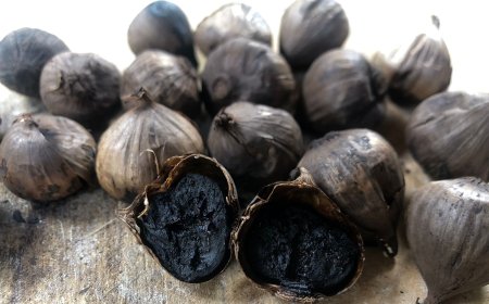 Mengulik Bawang Hitam : Bawang dengan Segudang Khasiat untuk Kesehatan