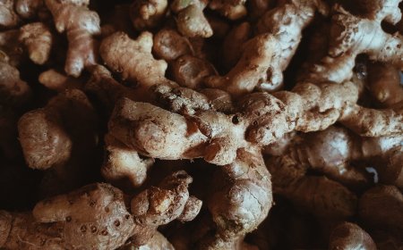 Ginger: Herbal Power in Traditional Medicine and Body Care