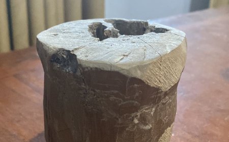 Khasiat Tersembunyi dari Kayu Cendana Selain Keharumannya