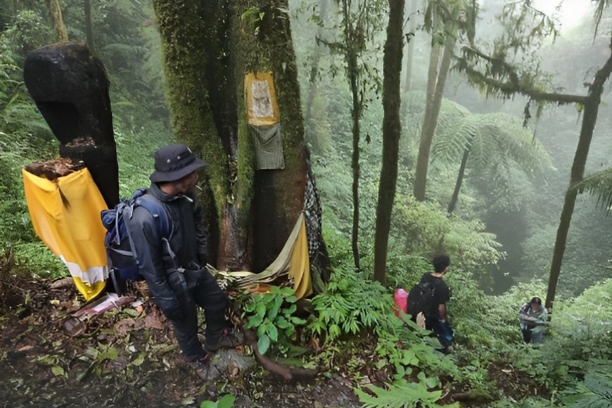 Mengenal Keindahan Panoramik Gunung Lesung - Bali Padma Bhuwana