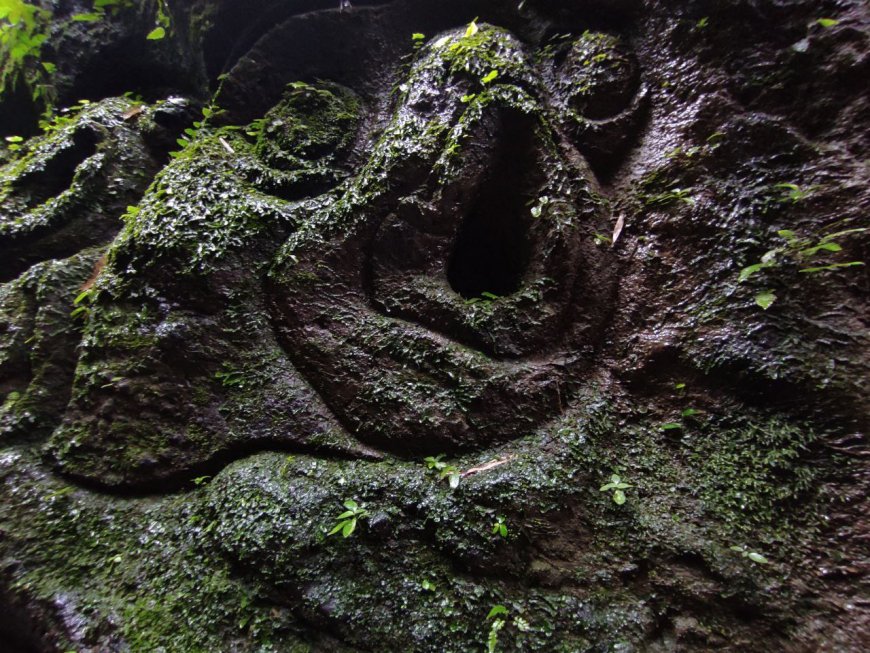 Ukiran Bebatuan Berlumut (Sumber Photo: Koleksi Redaksi)