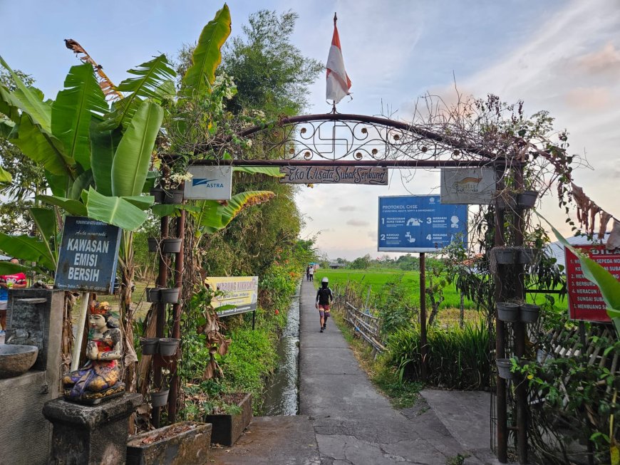 Ekowisata Subak Sembung : Berjalan di Tengah Hamparan Sawah Nan Luas