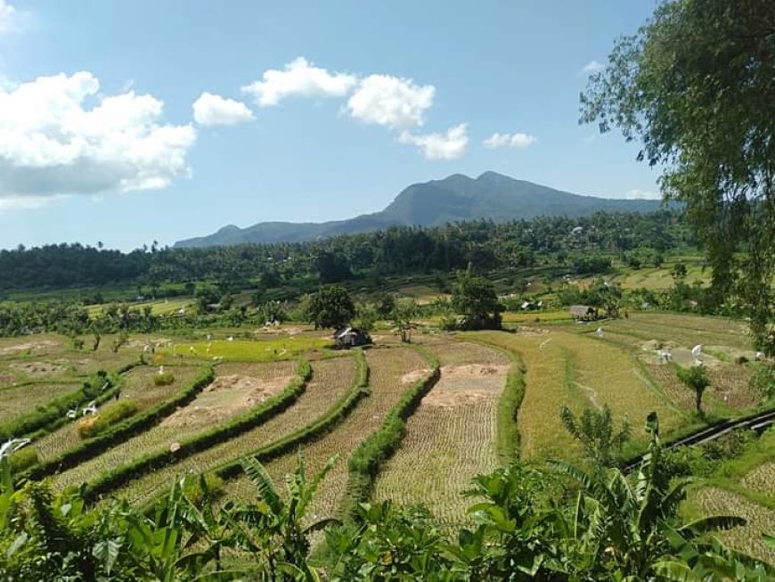 Ababi Traditional Village: Understanding Balinese Cultural Roots and the Uniqueness of Tirta Gangga