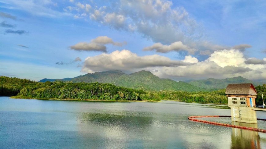 Palasari Dam: A Hidden Natural Beauty