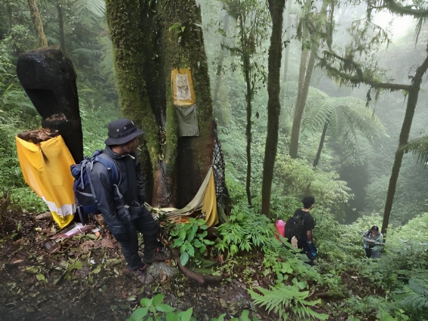 Mengenal Keindahan Panoramik Gunung Lesung