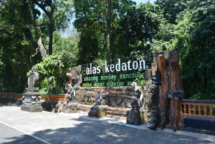 Alas Kedaton, Forgotten Natural Tourism