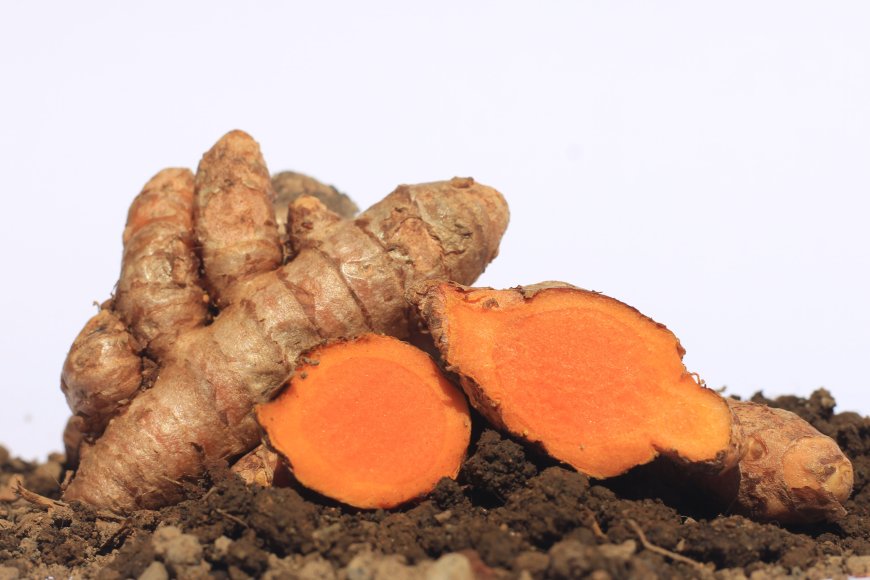 The Amazing Benefits of Turmeric: From Spice to Traditional Herbal Medicine