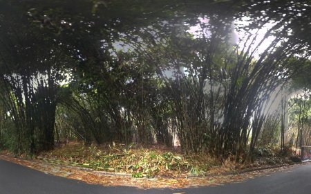 Virtual Tour of Penglipuran Village