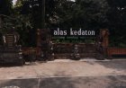Alas Kedaton: Sebuah Hutan Lindung yang Menyimpan Keunikan dan Keindahan