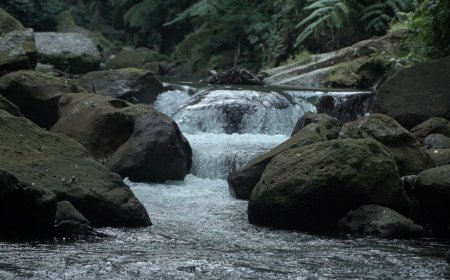 Taman Beji Samuan: Religious Tourism and Spiritual Tranquility in Carangasari Village