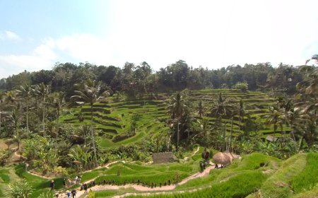 Jelajah Virtual Subak Tegalalang