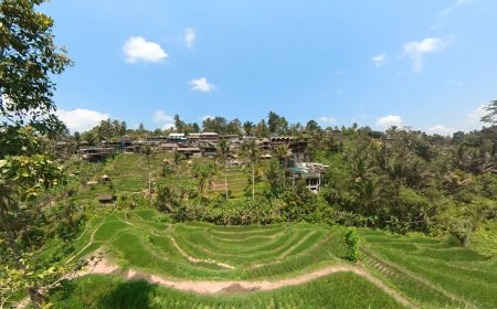 Tegalalang Rice Terrace : Nature Learning Tourism in Bali