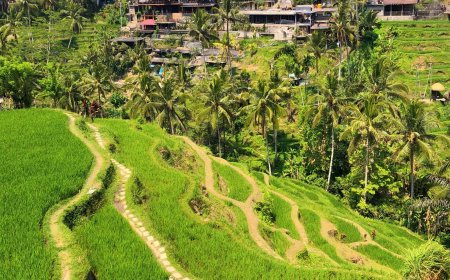 Subak Tegalalang : Mengungkap Keindahan Alam dan Pariwisata Bali