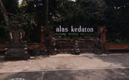 Alas Kedaton: A Protected Forest that Holds Uniqueness and Beauty