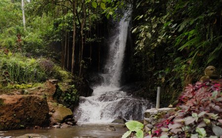 Air Terjun Uma Anyar, Keindahan Alam yang Tersembunyi di Gianyar