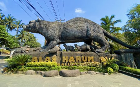 Alas Harum Bali: Menyelami Keindahan Hamparan Sawah Hijau dan Keajaiban Tradisional di Ubud