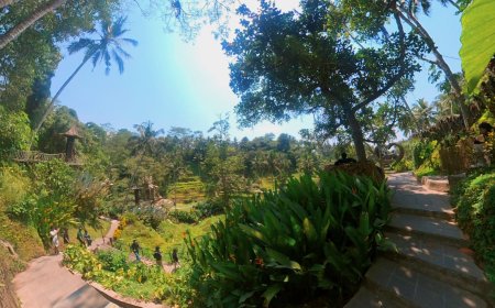 Menyelami Keindahan Alas Harum Bali Secara Virtual