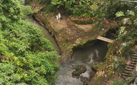Sungai Campuhan Ubud: Sungai Unik Di Dekat Desa Ubud
