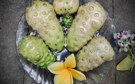 Noni: The Magical Plant that Fights Diseases and Improves Health