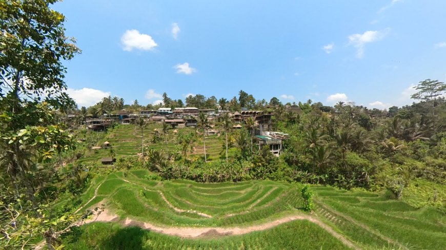 Tegalalang Rice Terrace : Nature Learning Tourism in Bali