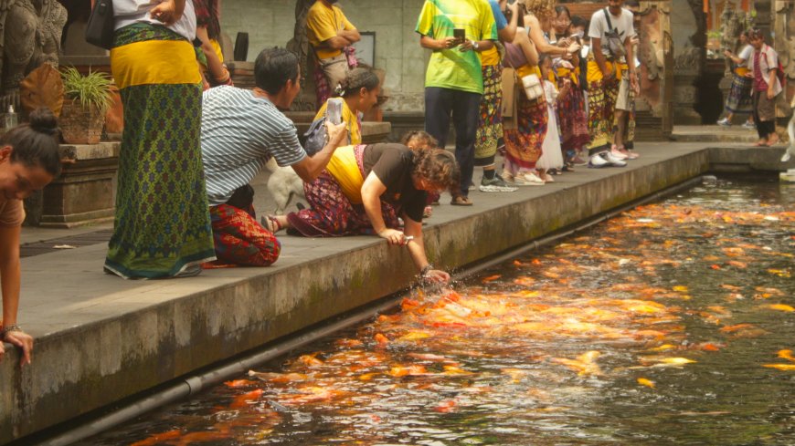 Kolam Ikan Koi Tirta Empul (Private Source)