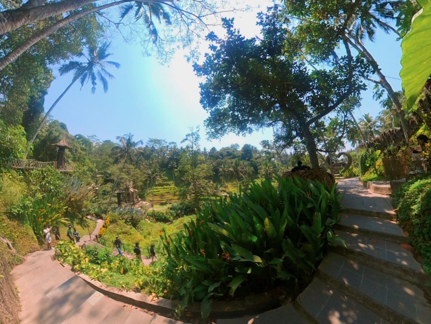 Dive Into The Beauty of Alas Harum Bali Through Virtual Experience