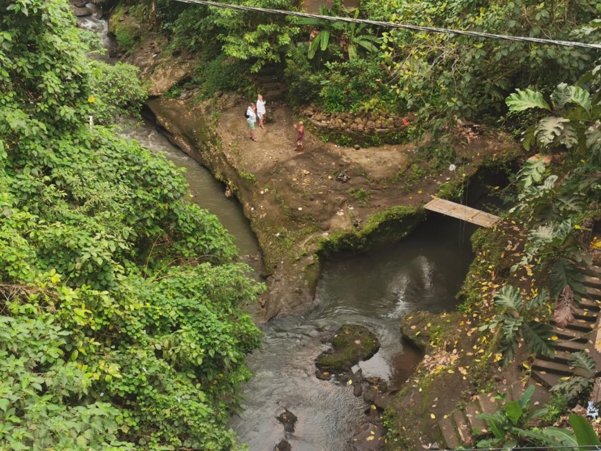 Campuhan River Ubud, A Unique River Near Ubud Village