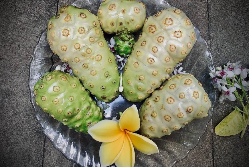 Noni: The Magical Plant that Fights Diseases and Improves Health