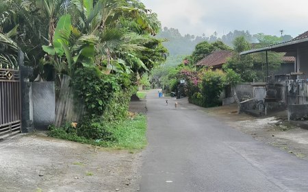 Mengenal Desa Adat Padangaji: Desa Adat dengan Keindahan Tari Gambuhnya yang Elegan