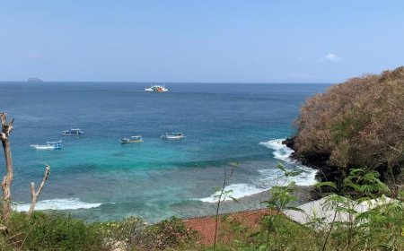 Secrets of Bluelagoon Beach Padangbai Amazing Underwater Life