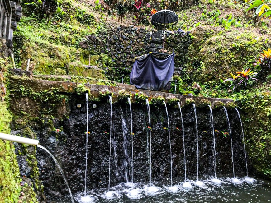 Pancoran Solas Taman Bali: The Miracle of Healing Disease Delivery