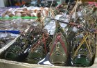 Kedonganan Fish Market: An Adventure of Exploring Seafood Treasures and Savoring Delicious Grilled Fish by Kedonganan Beach